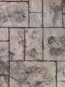 pavimenti (26)  